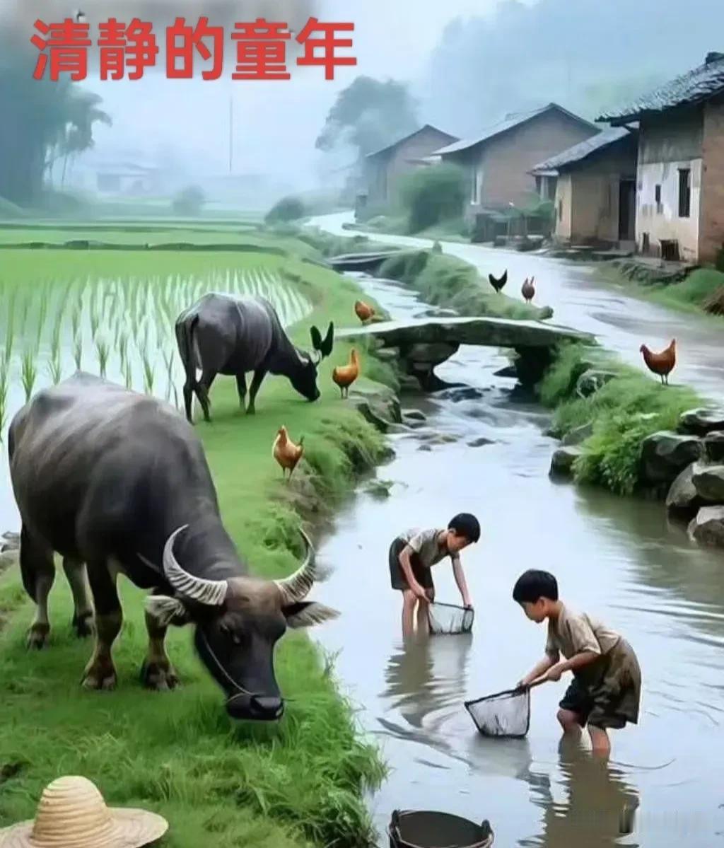 《卜算子·悟乐》

年少乐寻常，
尘事无牵绊。
待到霜华染鬓边，
方懂清欢淡。