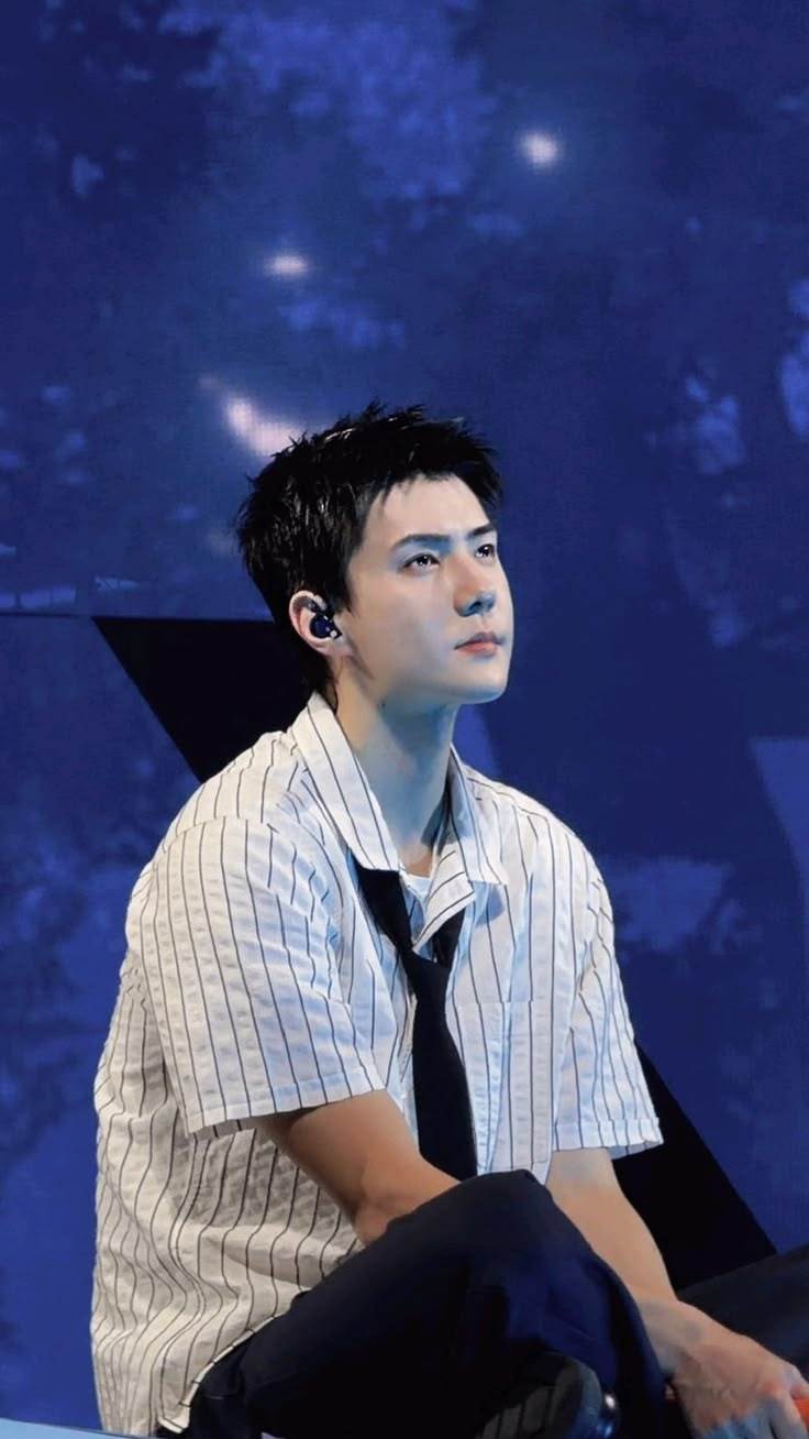 exo唯一官方门面吴世勋 世界名画cr. X @ hourlyohsehun 