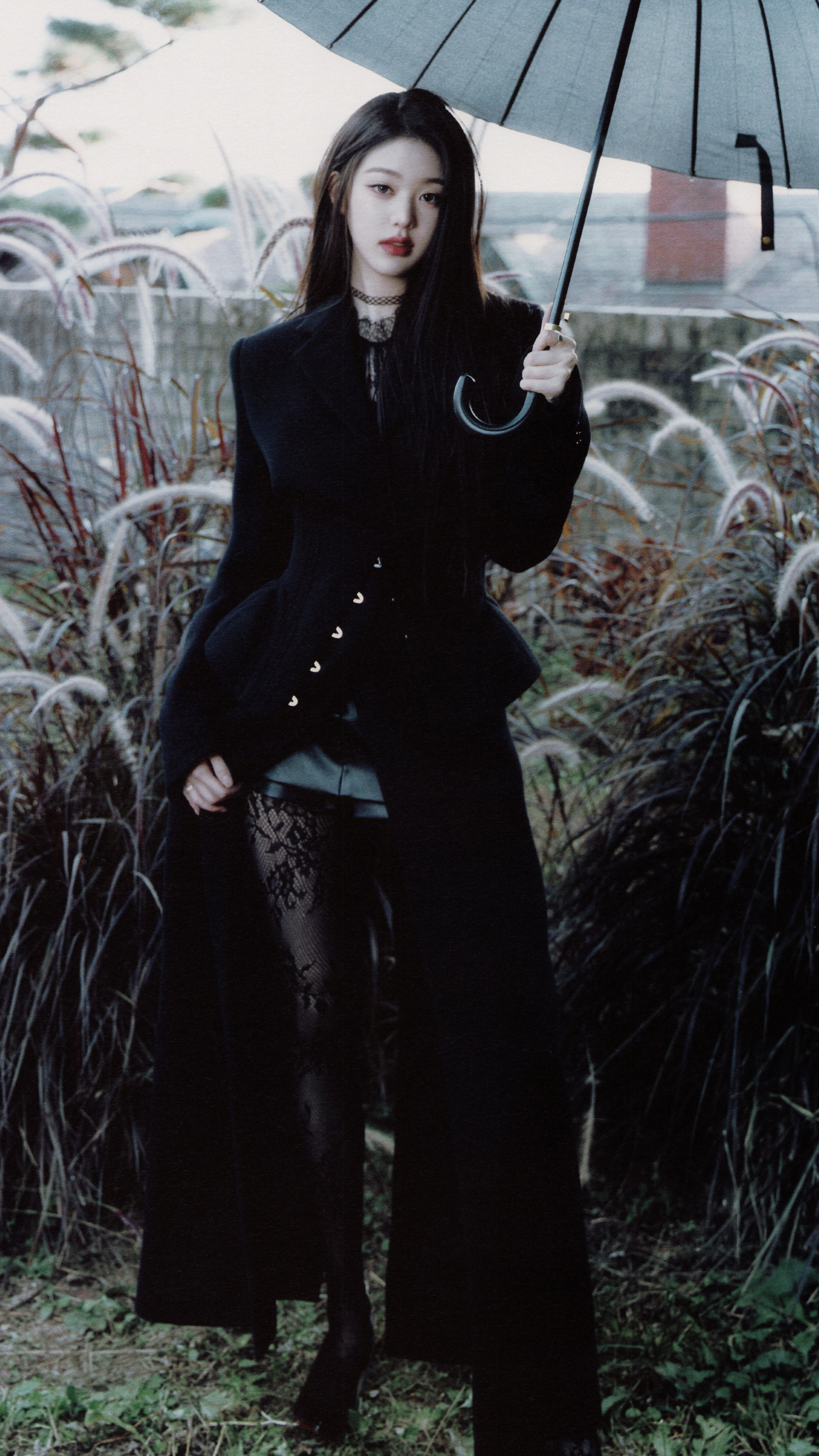 张元英 x 黑色玫瑰🖤 