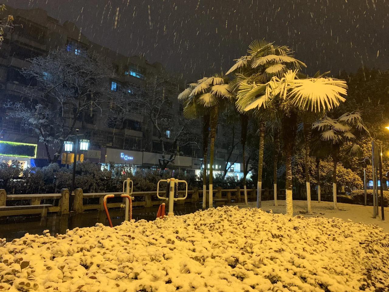 《雪夜触景》
 雪，在夜的怀抱中纷飞
如同梦幻的精灵跳跃
世界被染成洁白
寂静在
