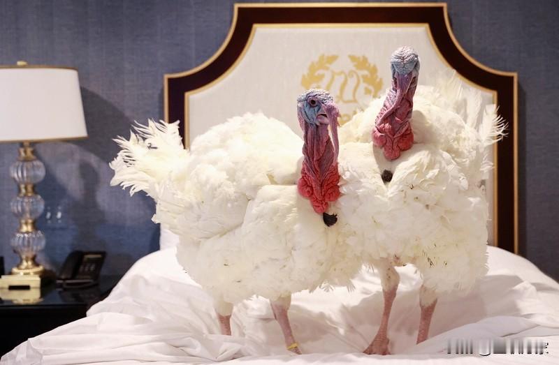 围台演习封锁能源进出口通道这个话题有6亿阅读量，热度可见一斑。2025年12月2