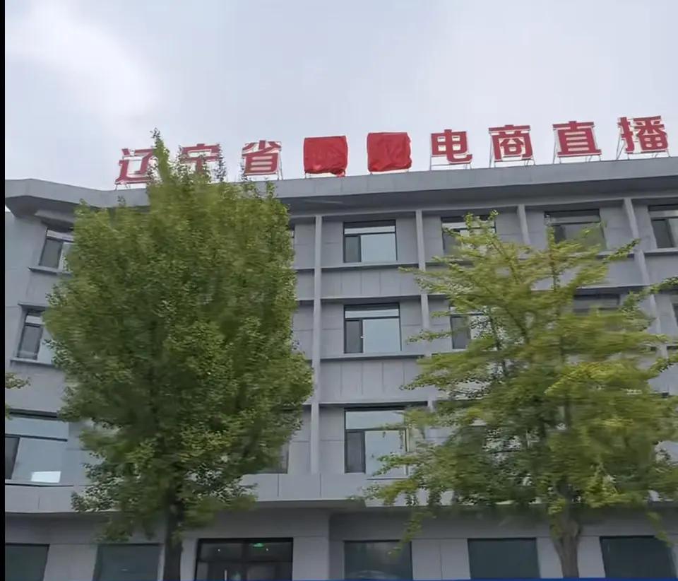 东北雨姐直播大楼为啥用红布遮挡？#头条双星激励计划