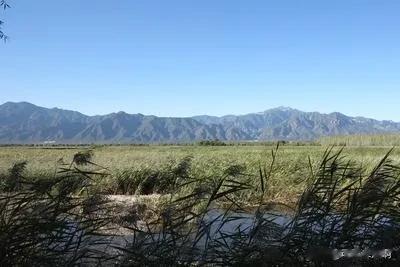 #秋日生活打卡季#
夏天时感觉秋天很远…
此时秋天又近在眼前…
秋天，我们经历过