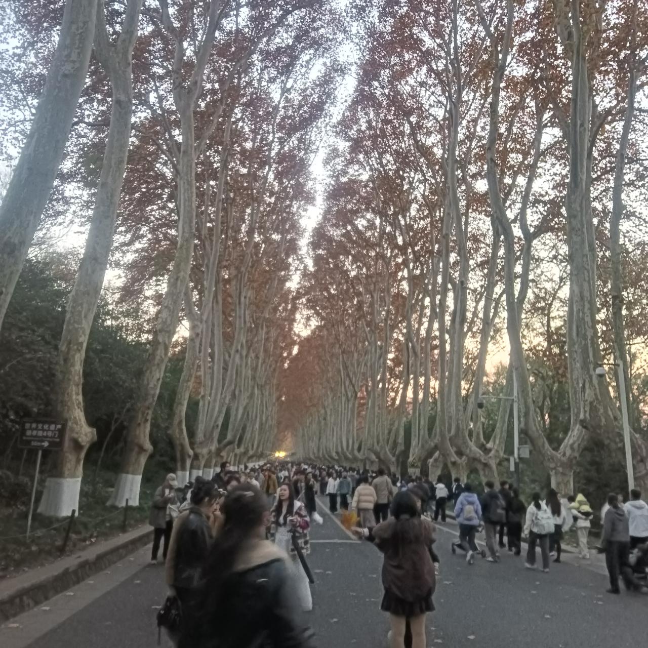 银河系中或许存在不少低等生物，但像人类这样的高级文明，可能确实没有那么多。