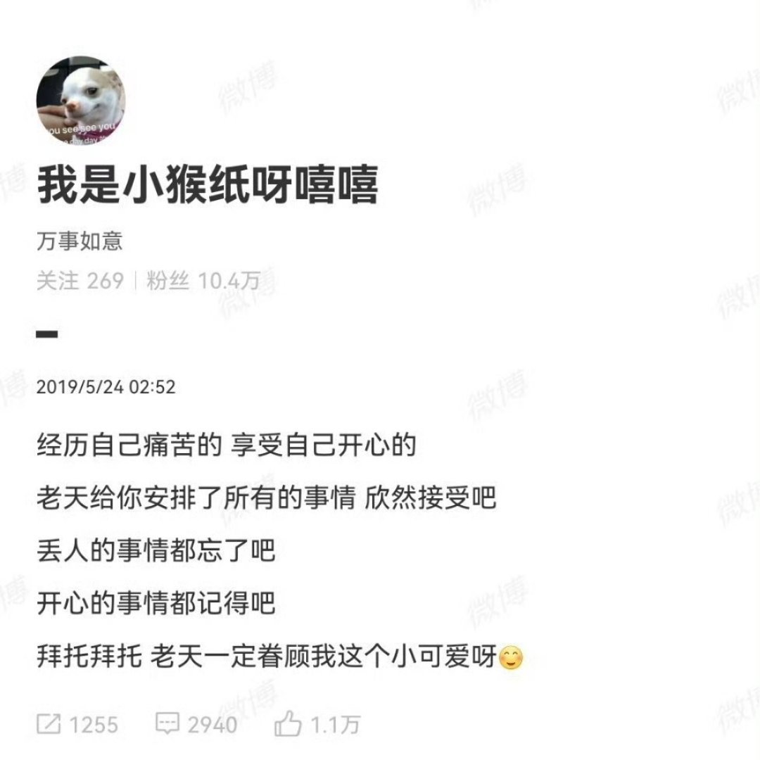 拜托拜托老天一定眷顾她山神庇佑白菊绽放白玉兰