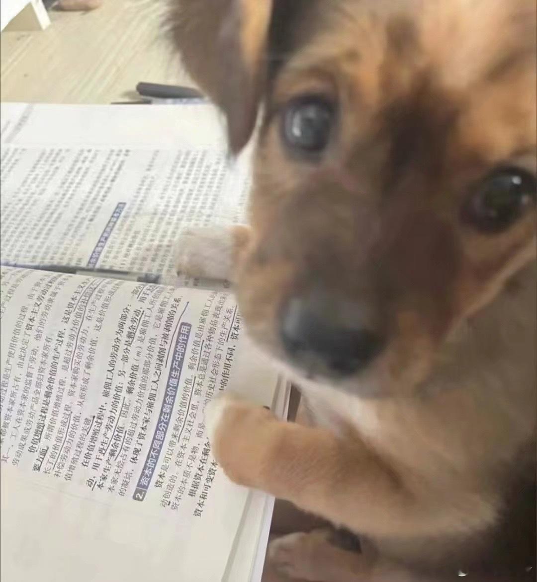 窝看布懂 