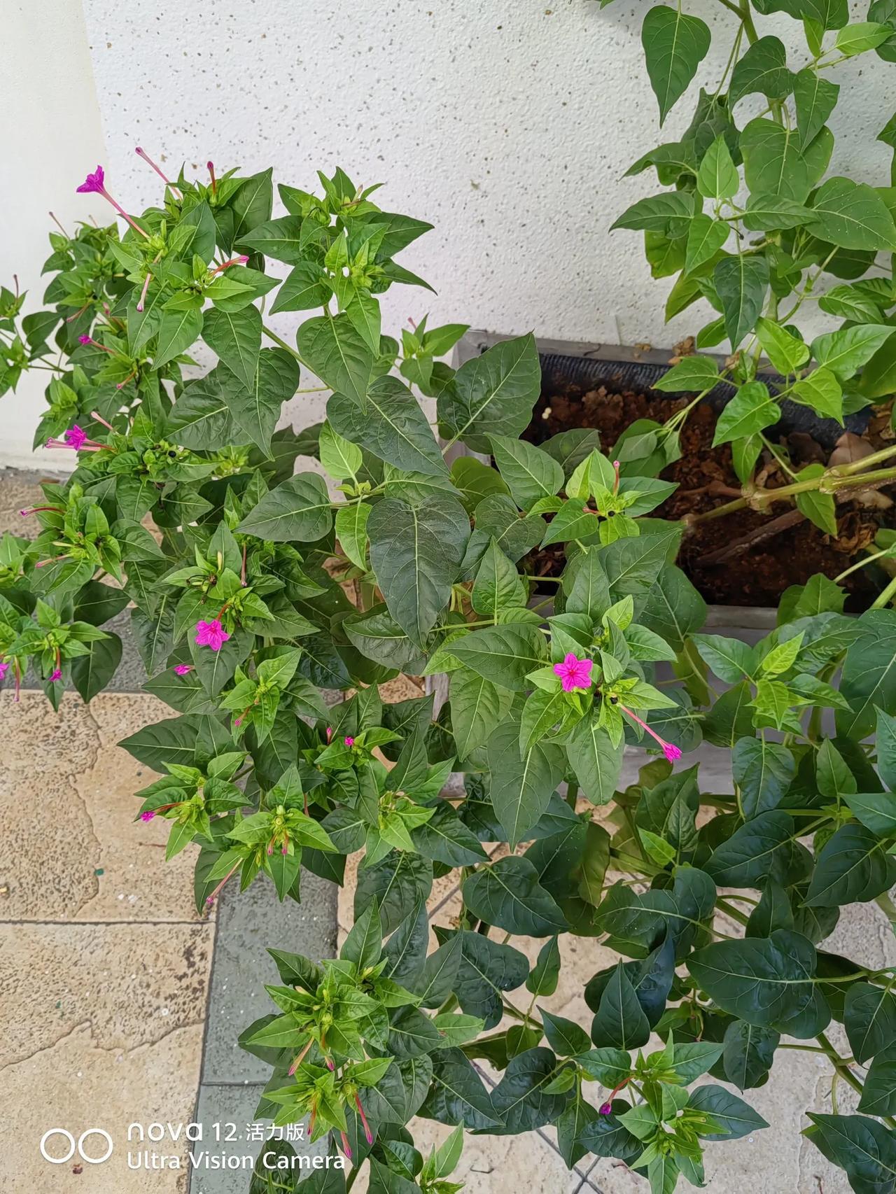 你觉得湖北的兄弟省份应该是哪个呢我觉得湖北的兄弟省份应该是湖南。湖南湖北一家亲。