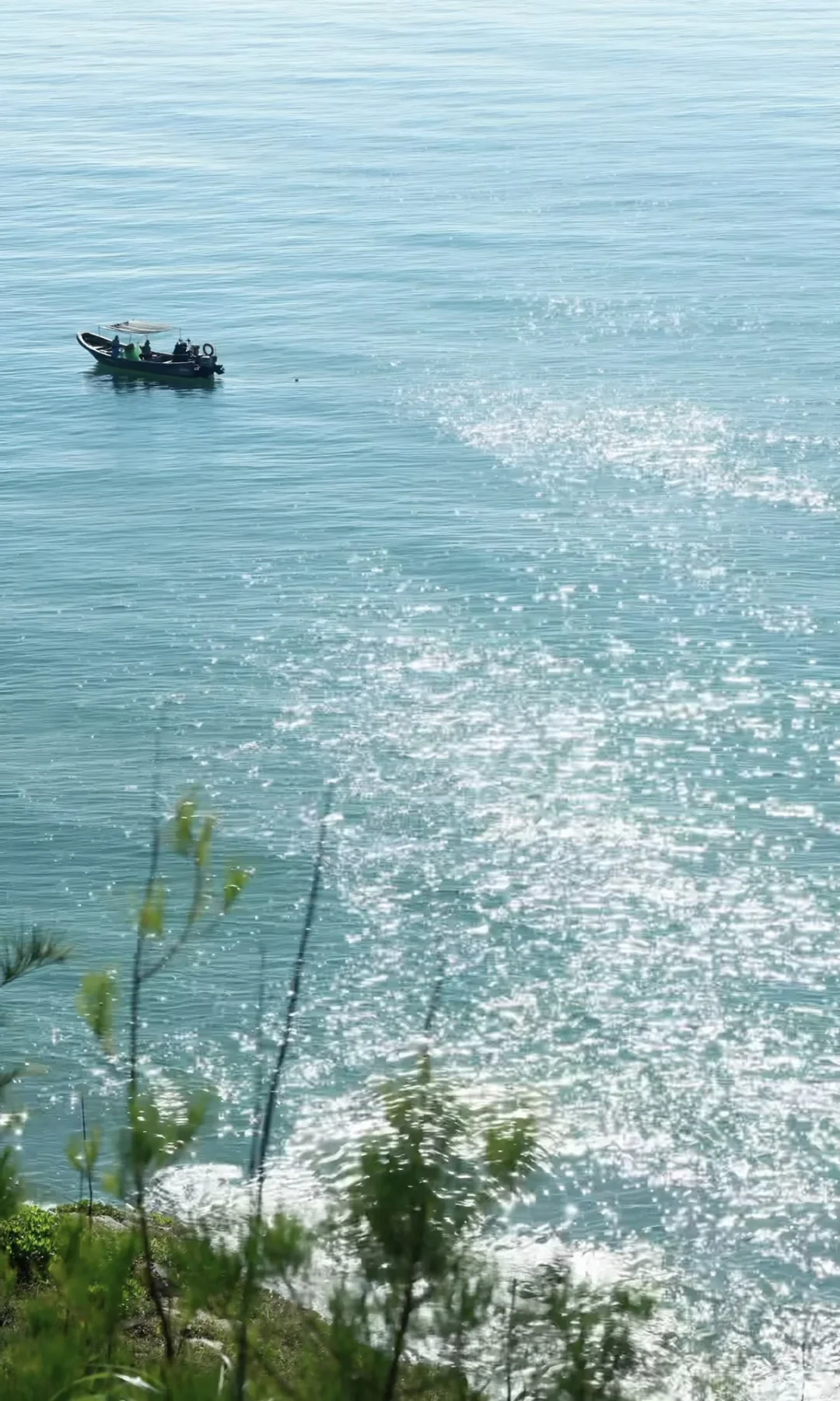 Live 9.14实拍，秋天的盐洲岛，是人间理想🥹