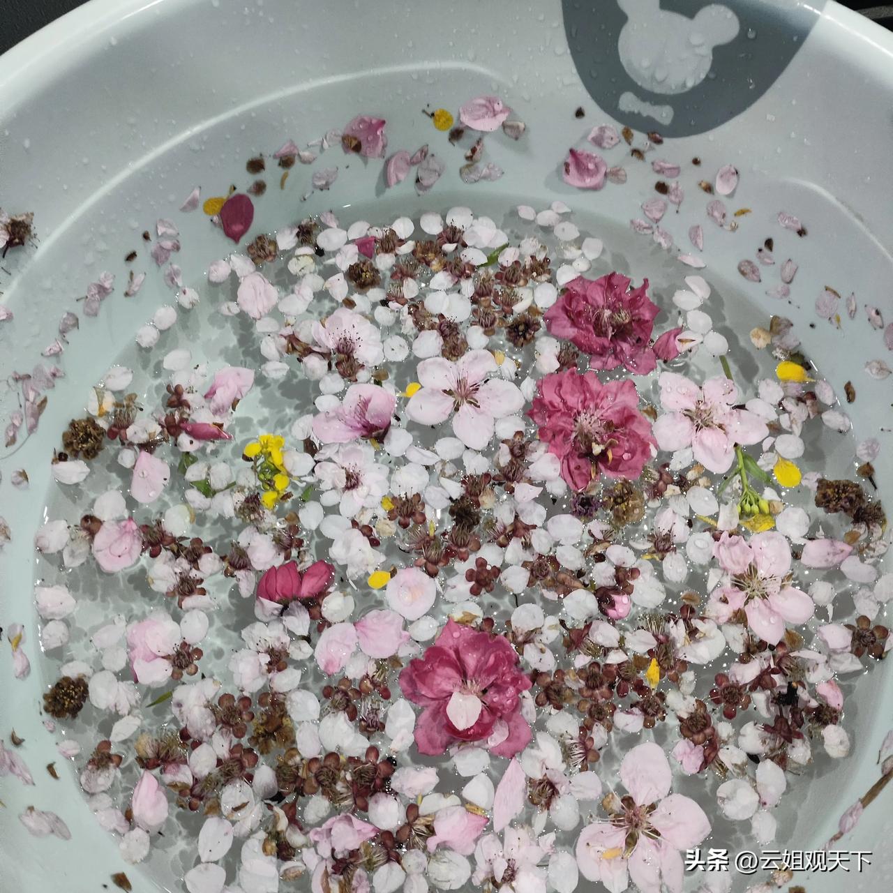 情感扎心真相：你越认真，他越后退
 
很多女人都有过这样的经历：
一开始明明是他