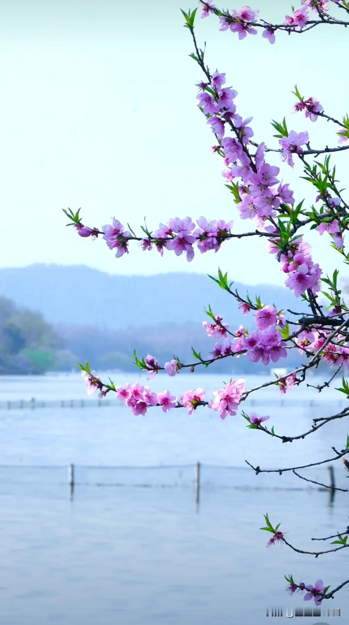 生活随拍记录美好瞬间尝试不同角度，俯拍仰拍都可。