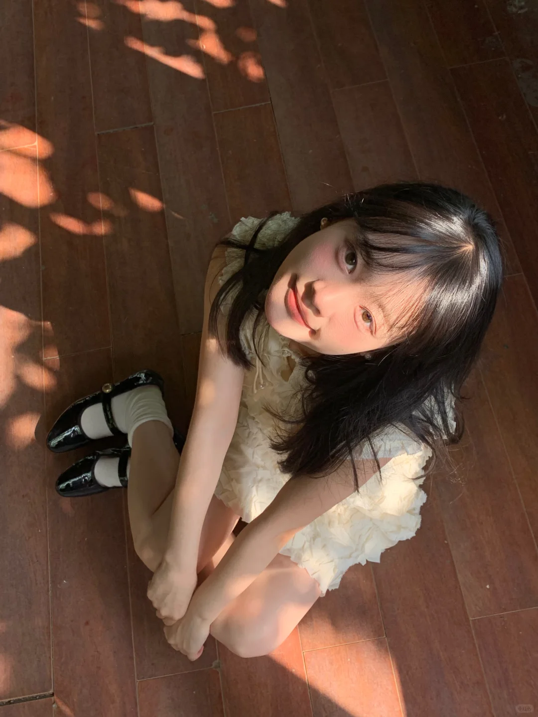 我镜头下的光՞•･•՞🐾