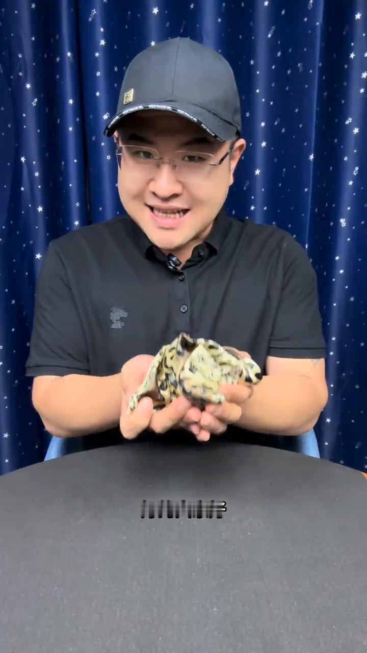 揭秘意念操控蟒蛇，后面大爷惊呆了。
大家好，这里有一团柔软的丝巾，接下来把丝巾像