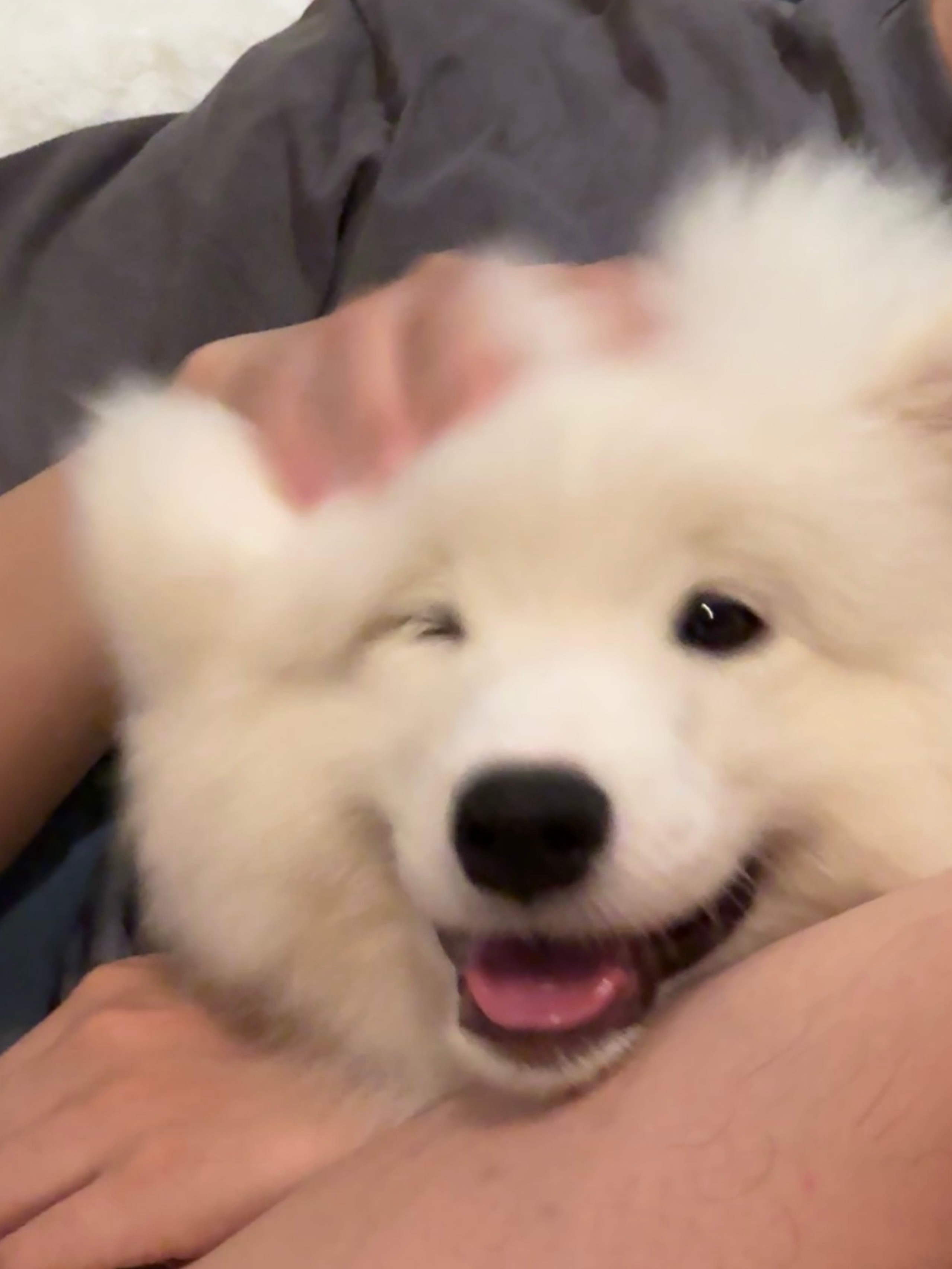 看看耶耶 