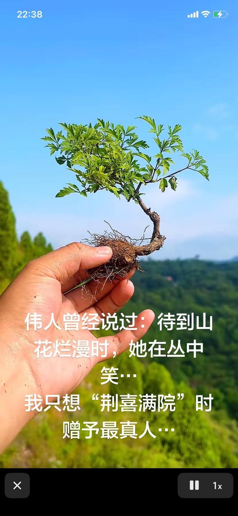 本是平凡客，生在世俗间，待到荆喜满，赠予遗落人…