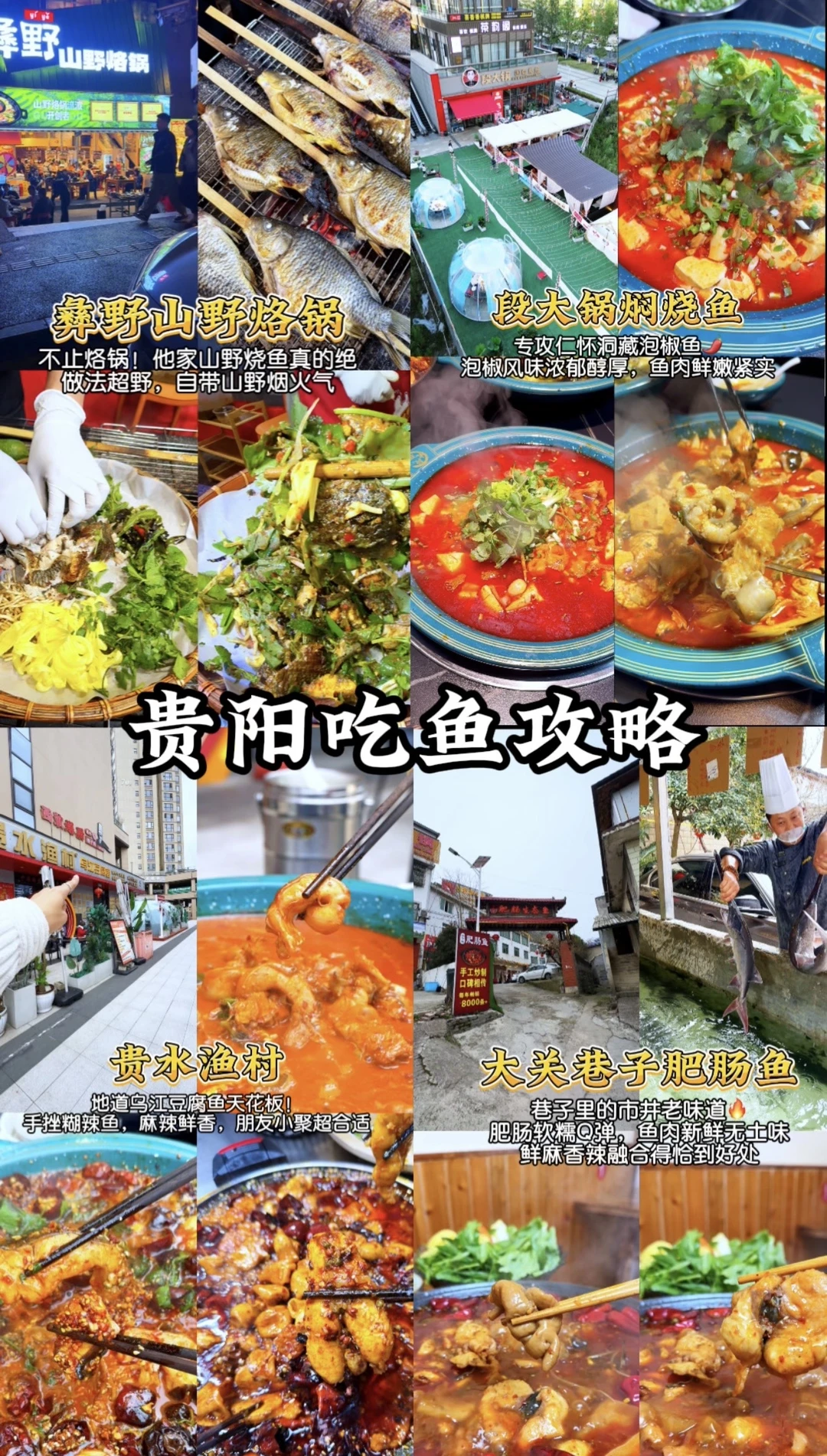 贵阳吃鱼星人狂喜🐟四家无泥腥味的鱼店合集