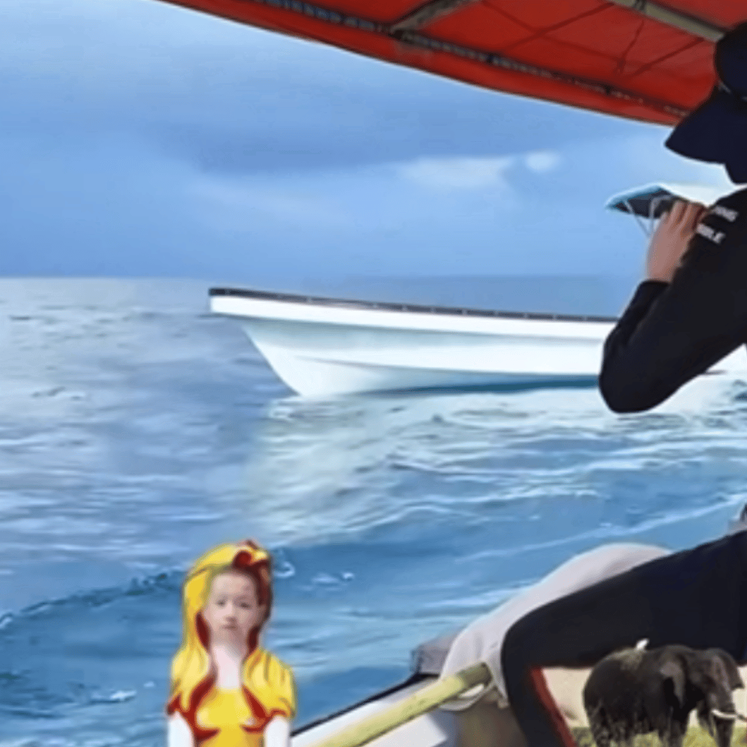 啊啊啊谁懂这个神如金的后期啊啊啊啊啊啊啊 时代少年团去追海豚啦 ​​​