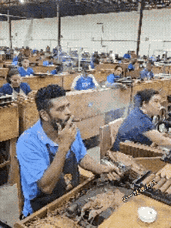 谁能看懂他们在做什么？