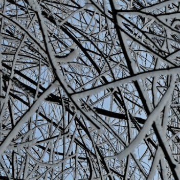 爱国，每日一善 是至高无上的品德.是民族的灵魂。亲爱的同学们，为了学校的荣为了我