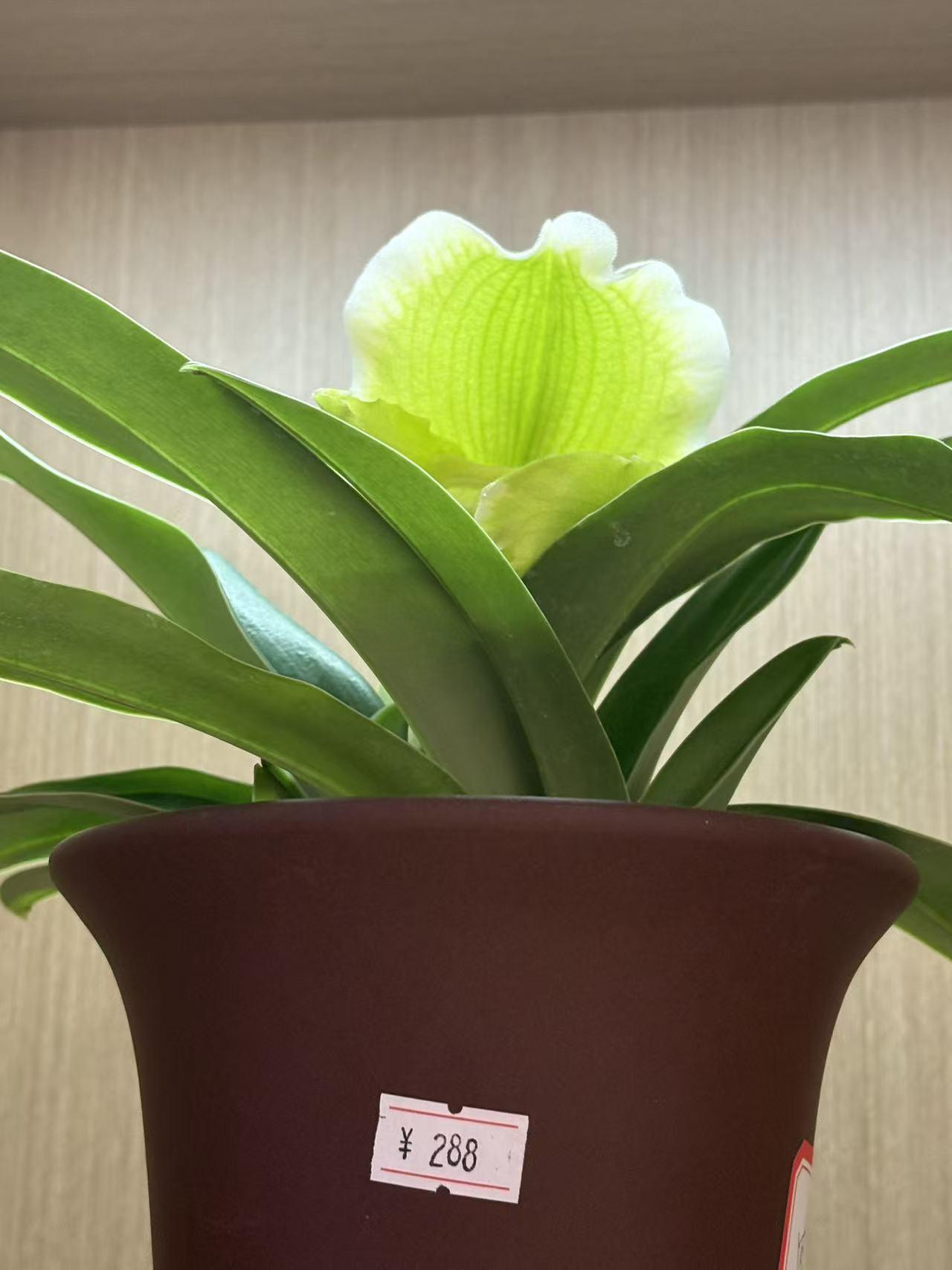 公墓价格下降对民众有多重要 公墓价格下降对民众那是相当重要！从经济上看，以前殡葬