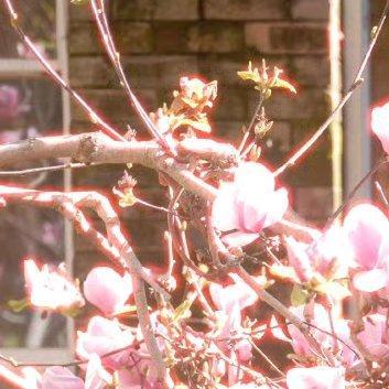 每一分收获，都来自你坚持不懈的努力；每一分汗水，都是你成功的积累。覆流年不说再见