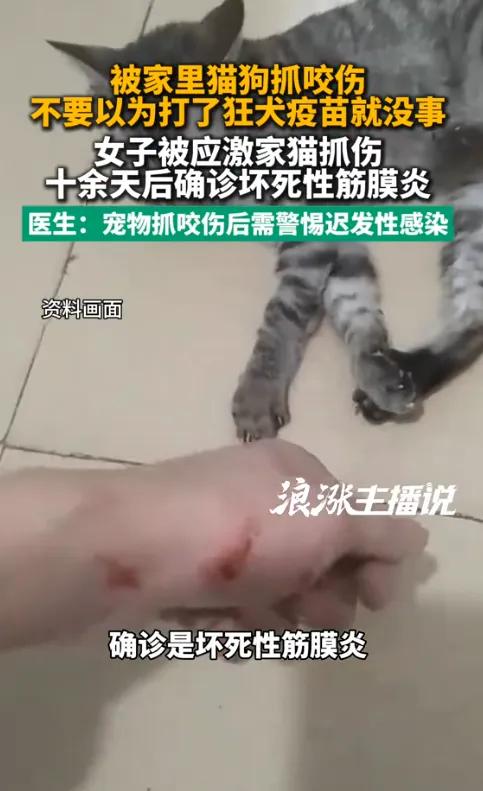 8月7日报道陕西西安，一女子被家猫icon抓出血，全程规范打完疫苗、伤口快速结痂