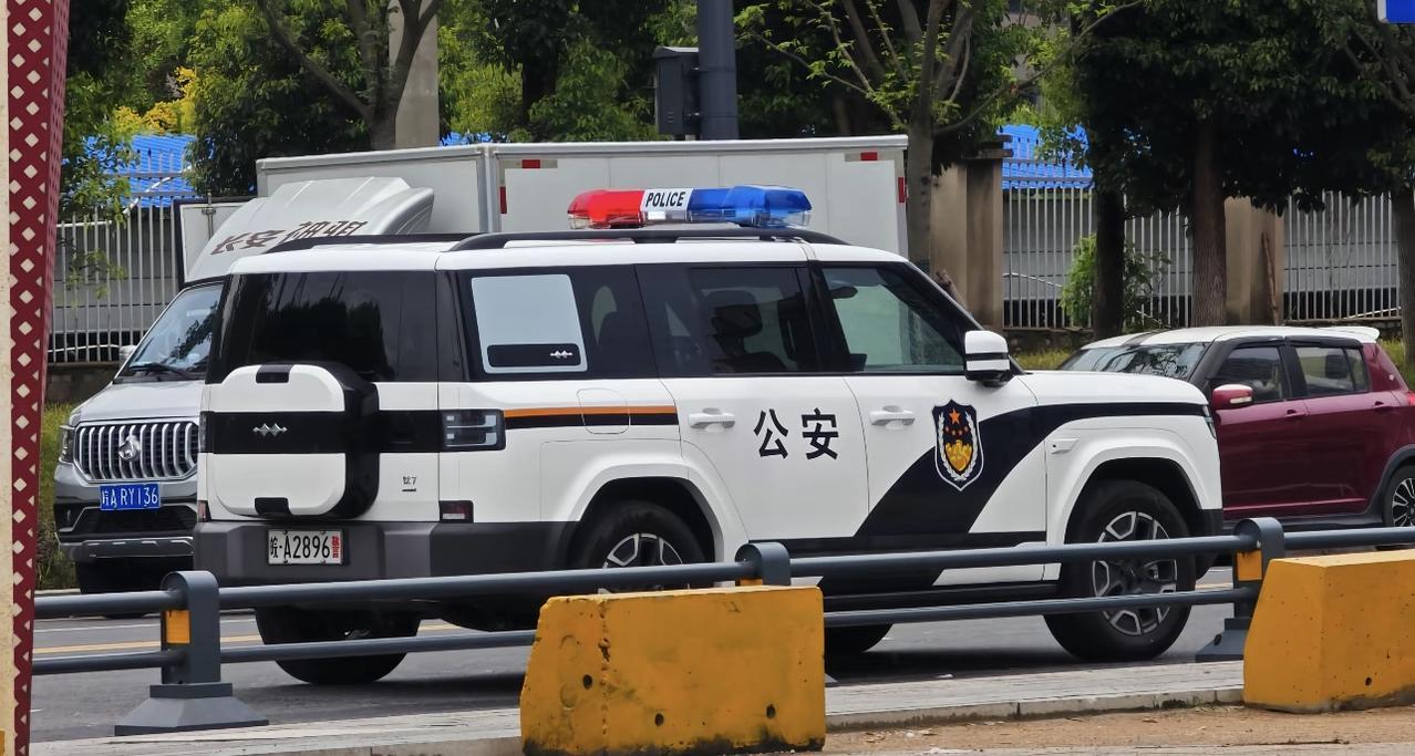 谁能想到，国产车真在全世界杀疯了！这次直接把公务车市场拿捏得死死的。
曾几何时，