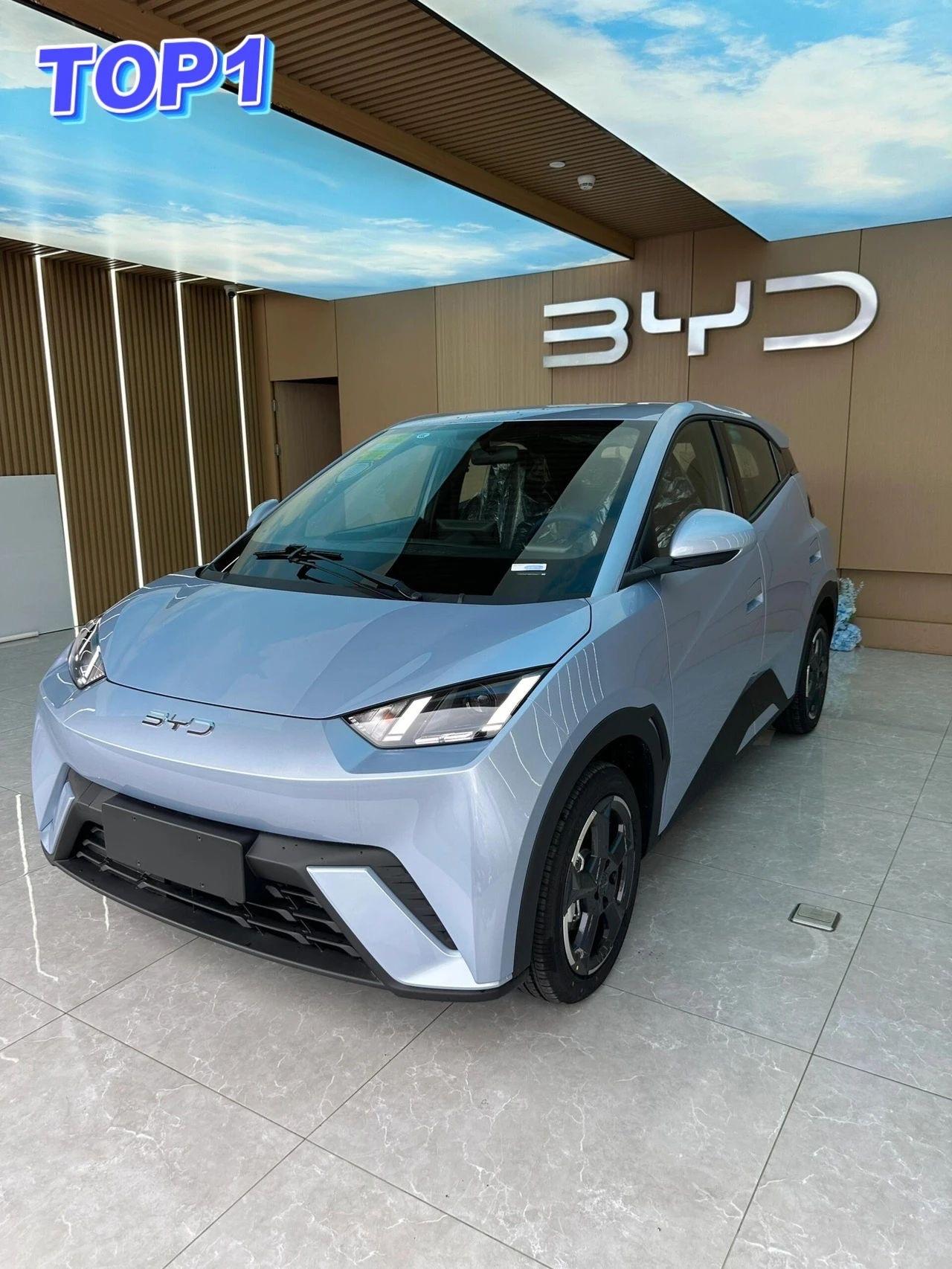 2025年上半年国内汽车销量前十！

根据乘联会发布的2025年1–6月终端零售