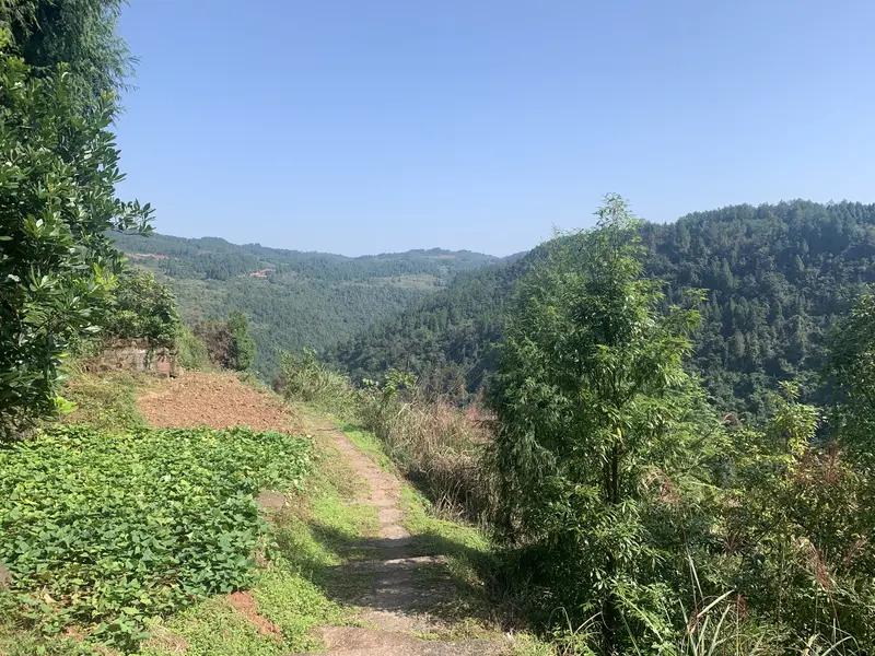 有那种忙到晕头转向时，停下来发呆的松弛时刻。风的拥抱、云的陪伴，片刻放空就像给疲