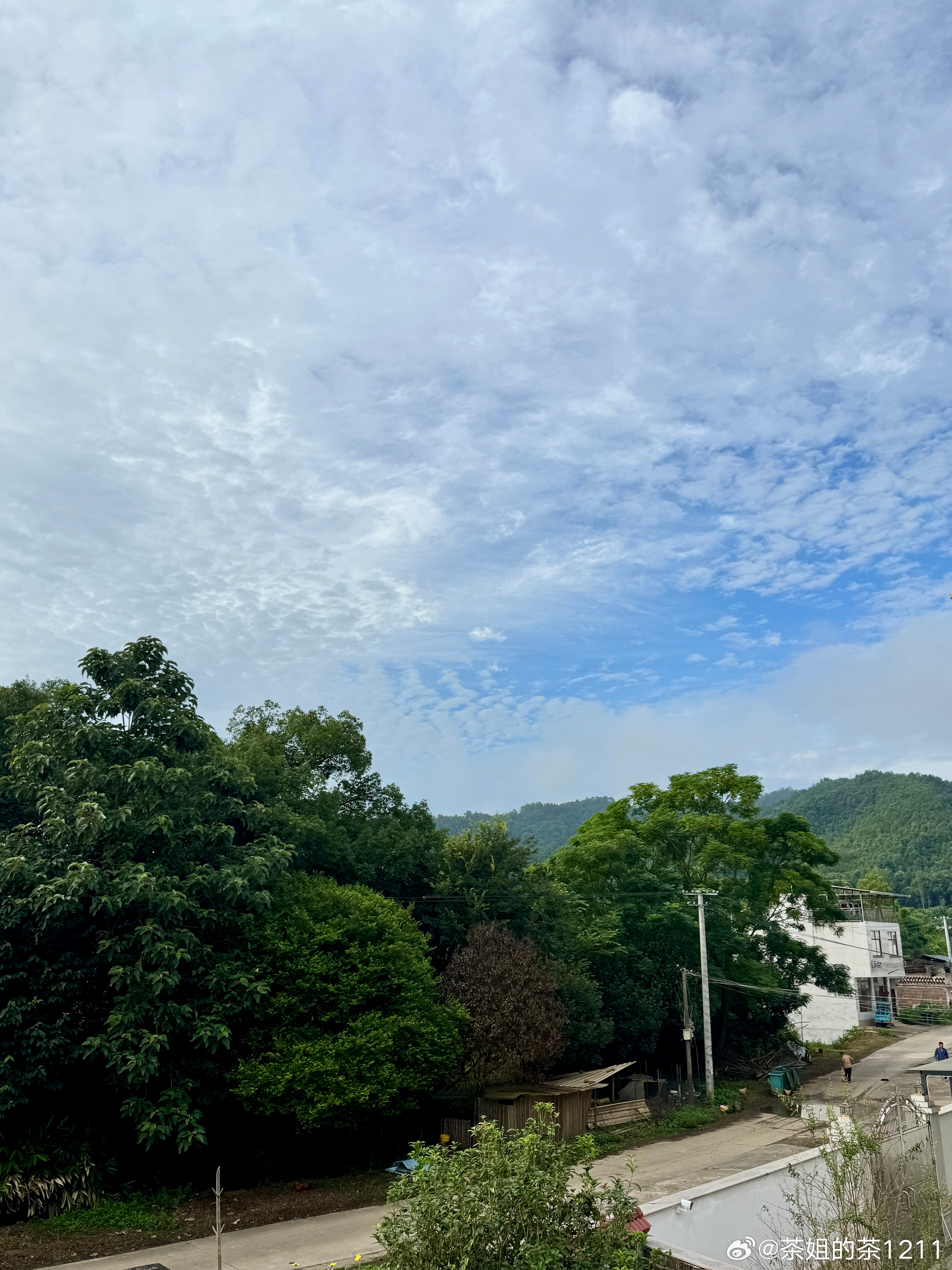 今天是个好日子，天气真不错啊🌞起来干活咯！话说像今天这样的排场，我长这么大也第