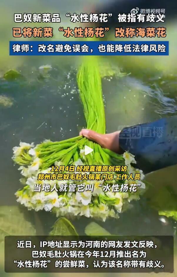 其实，海菜花在云南地区就是被俗称为“水性杨花”的，只不过出了云南这个地界之后，就