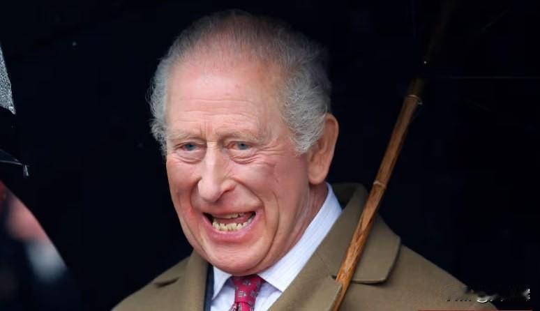 《镜报》：国王查尔斯钓鱼时动用军方狙击手帮忙钓三文鱼
 
据该媒体报道，英国国王