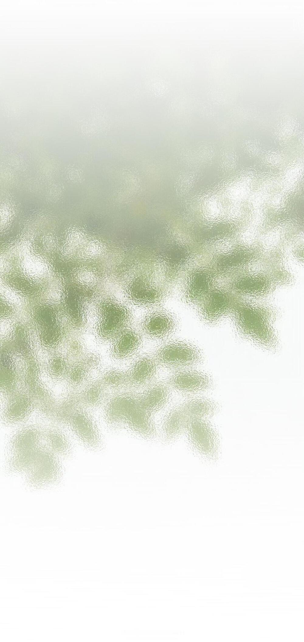 双鱼心思柔软浪漫共情力强，内心怀揣温柔期许，感情里暖心真诚，生活处处藏着浪漫小惊