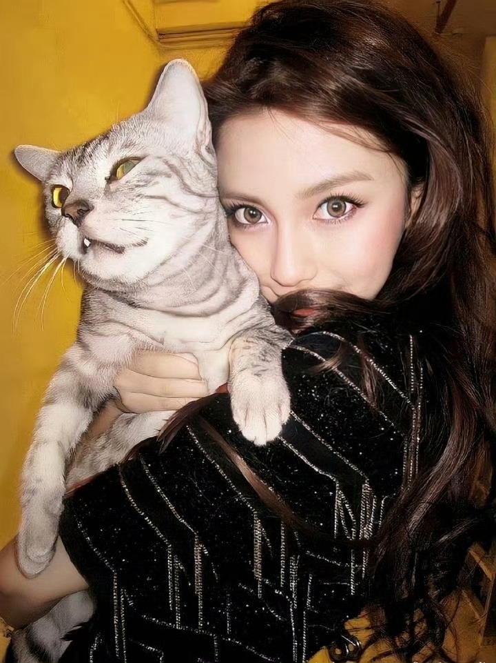 【Angelababy】猫与猫香港偶遇angelababy小海绵 ​​​