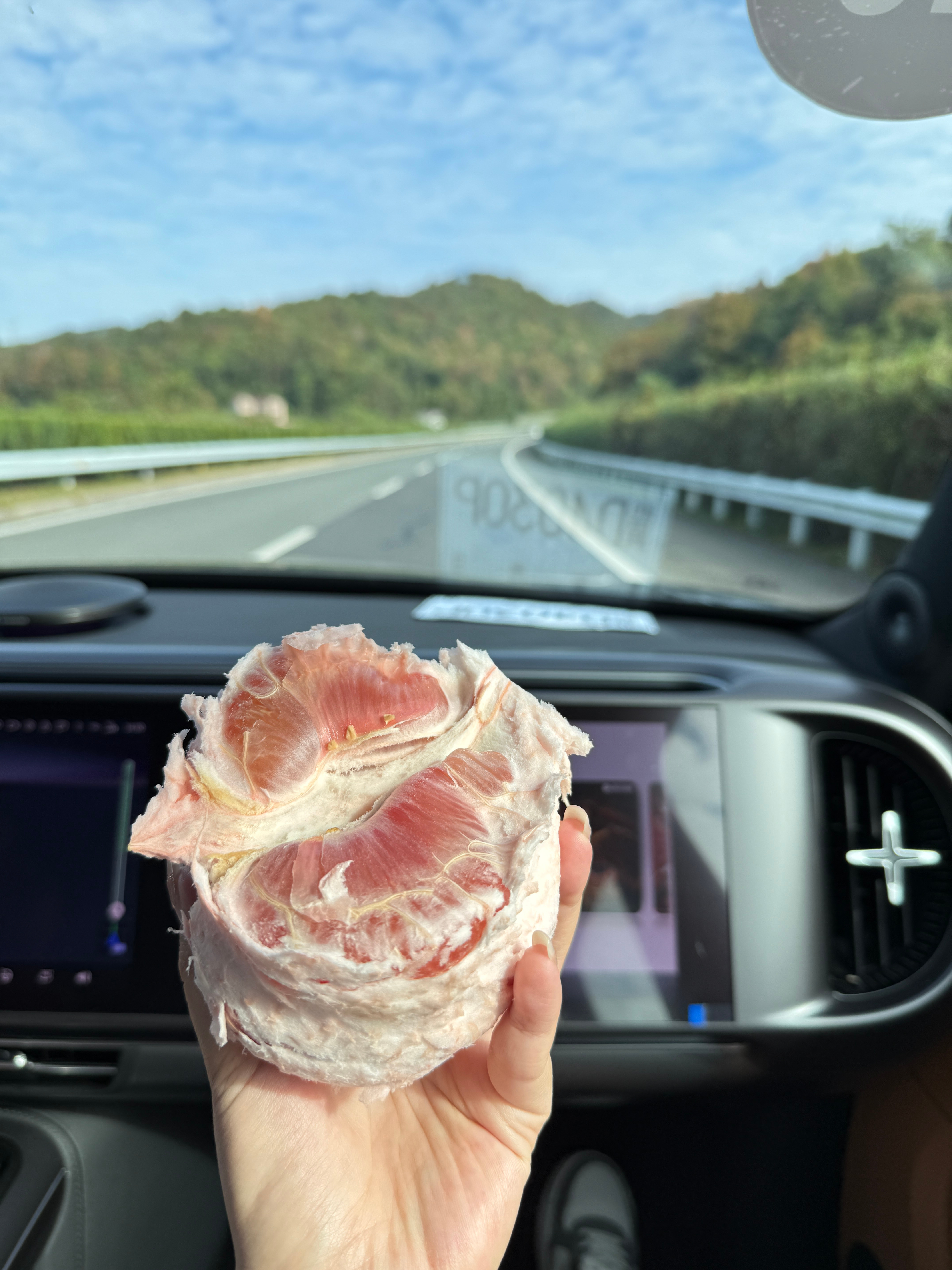 在服务区投喂的柚子这两天肉吃多了，柚子去去火原来江西好看好吃的这么多 