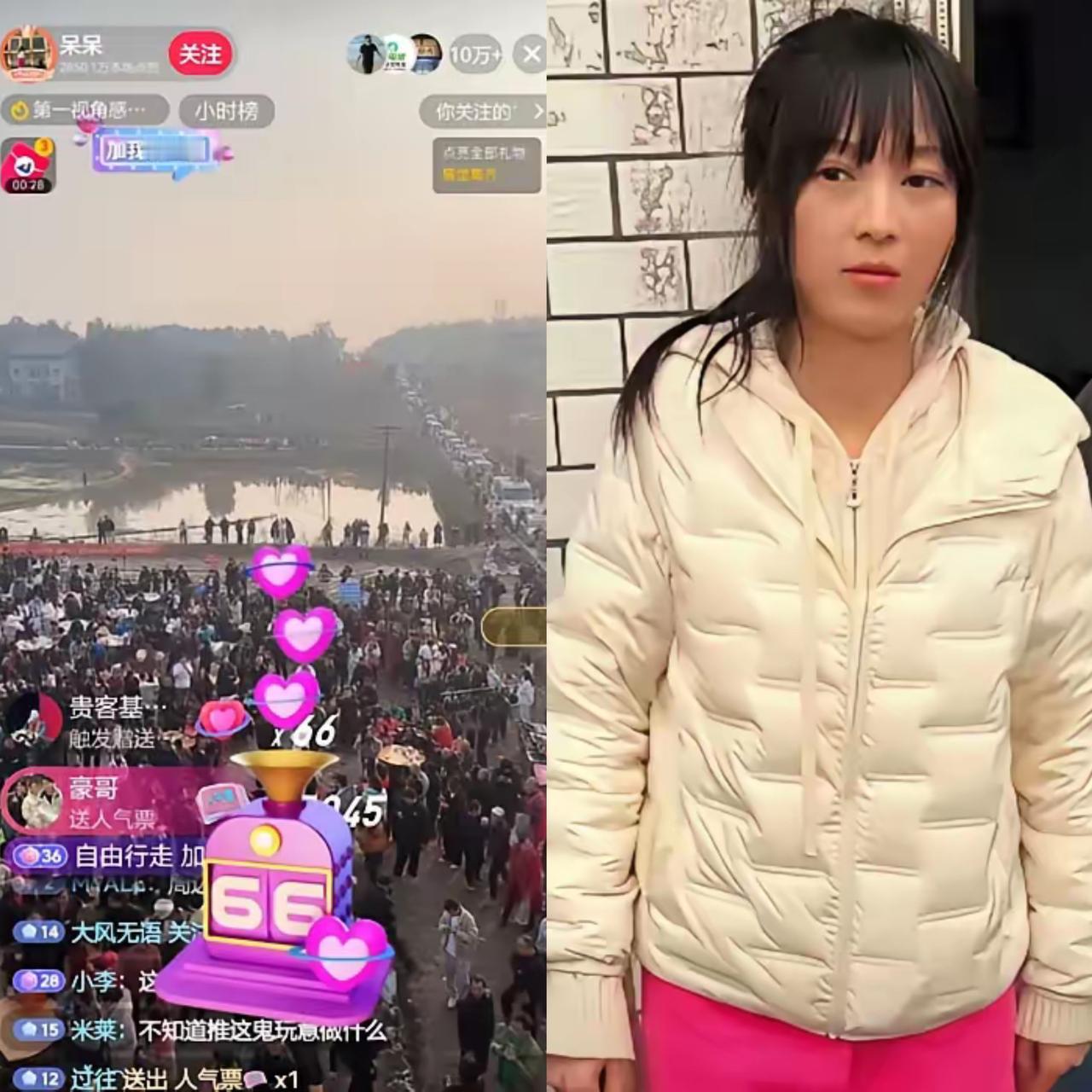 呆呆全程没笑的真相，根本不是心疼两头猪！谁还在说呆呆心疼那两头年猪？格局打开！两