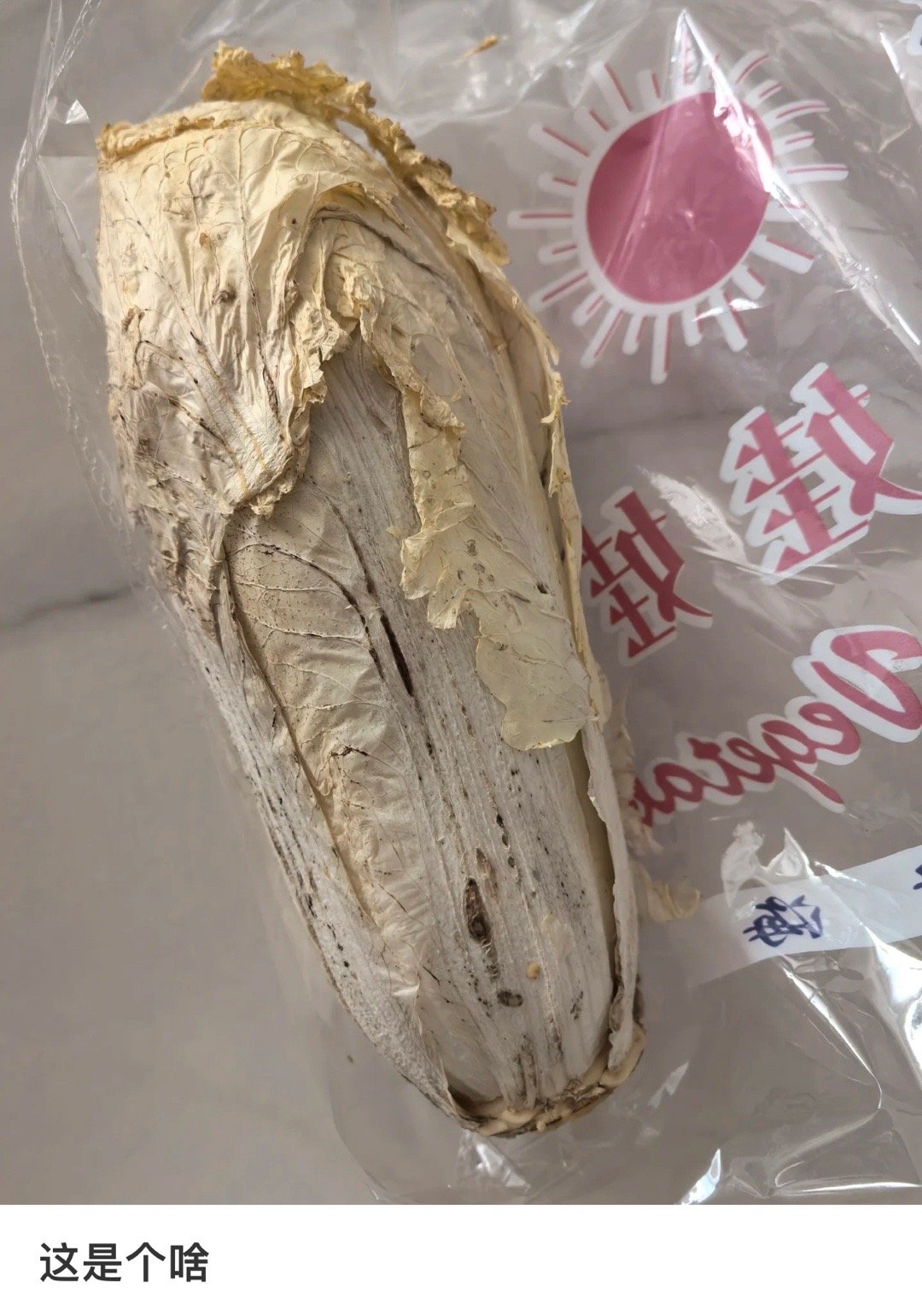 娃娃菜界的木乃伊出现了 ​​​