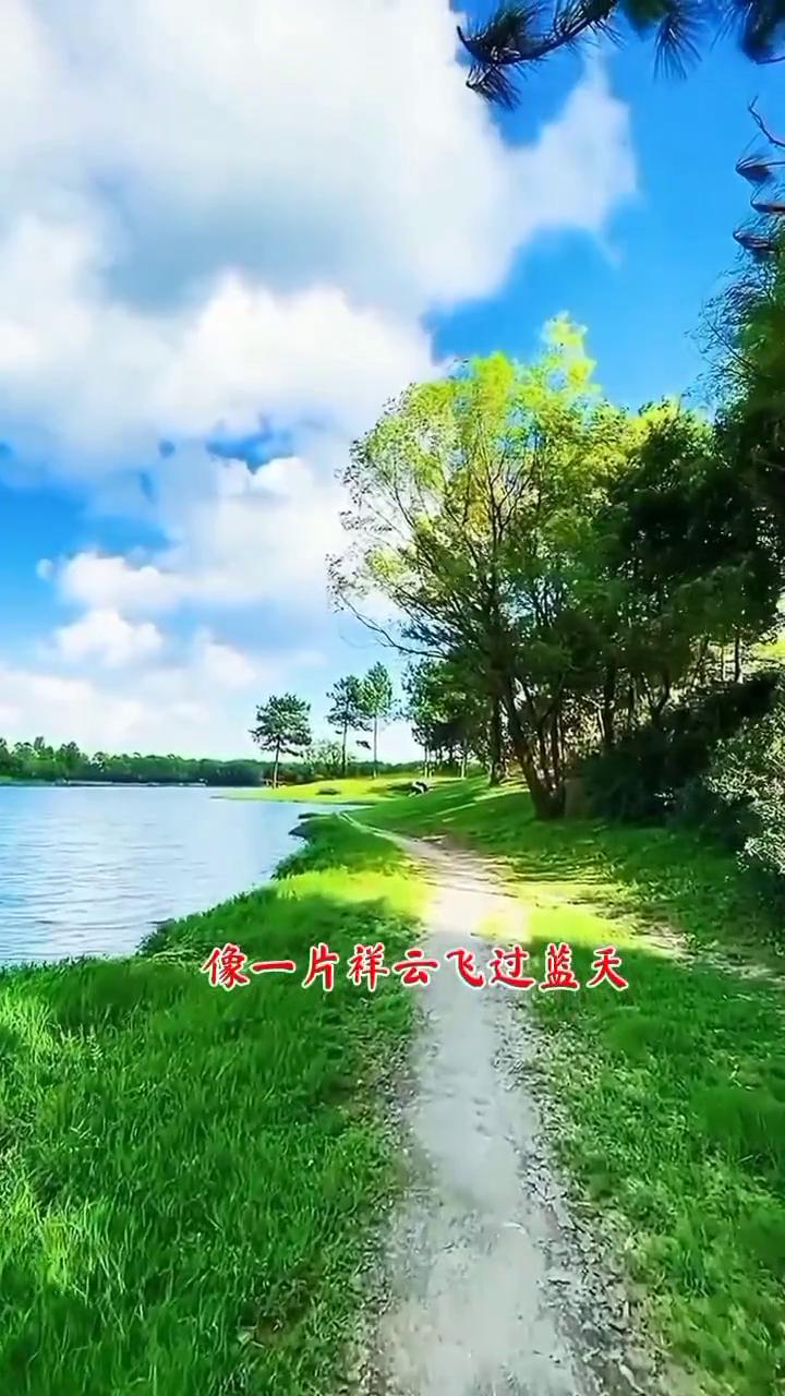 清晨我站在问津大道上，看到东站披着那霞光，像一片祥云飞过蓝天，为新洲儿女带来吉祥