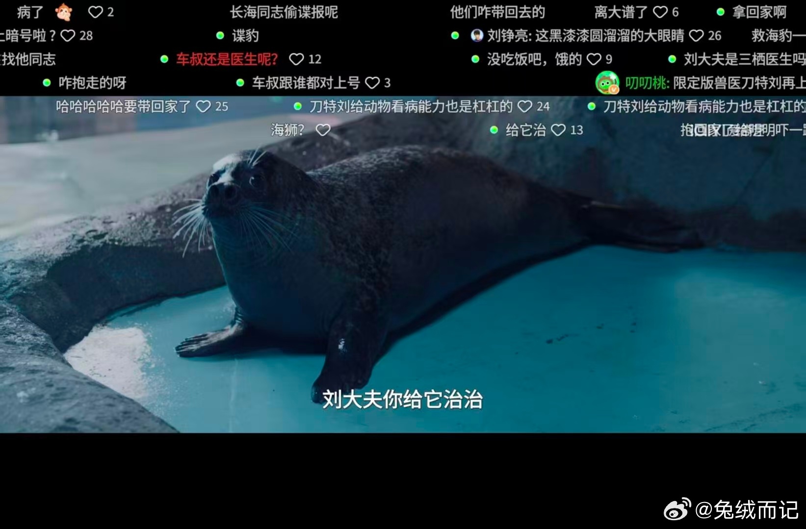 肖战新剧一次外向换来次次内向 前面神医给人看病时氛围严肃正经，转头给家禽瞧病时满