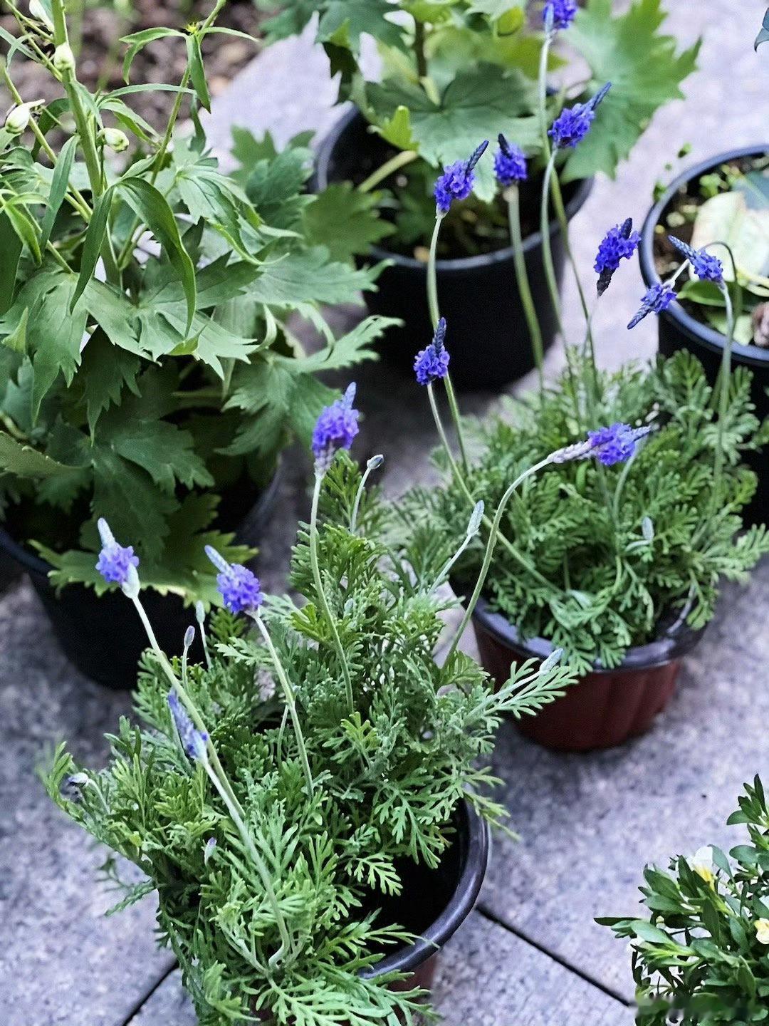 🍀阳光信用🍀每日一善  有人在奔跑，有人在睡觉，有人在感恩，有人在报怨，有目