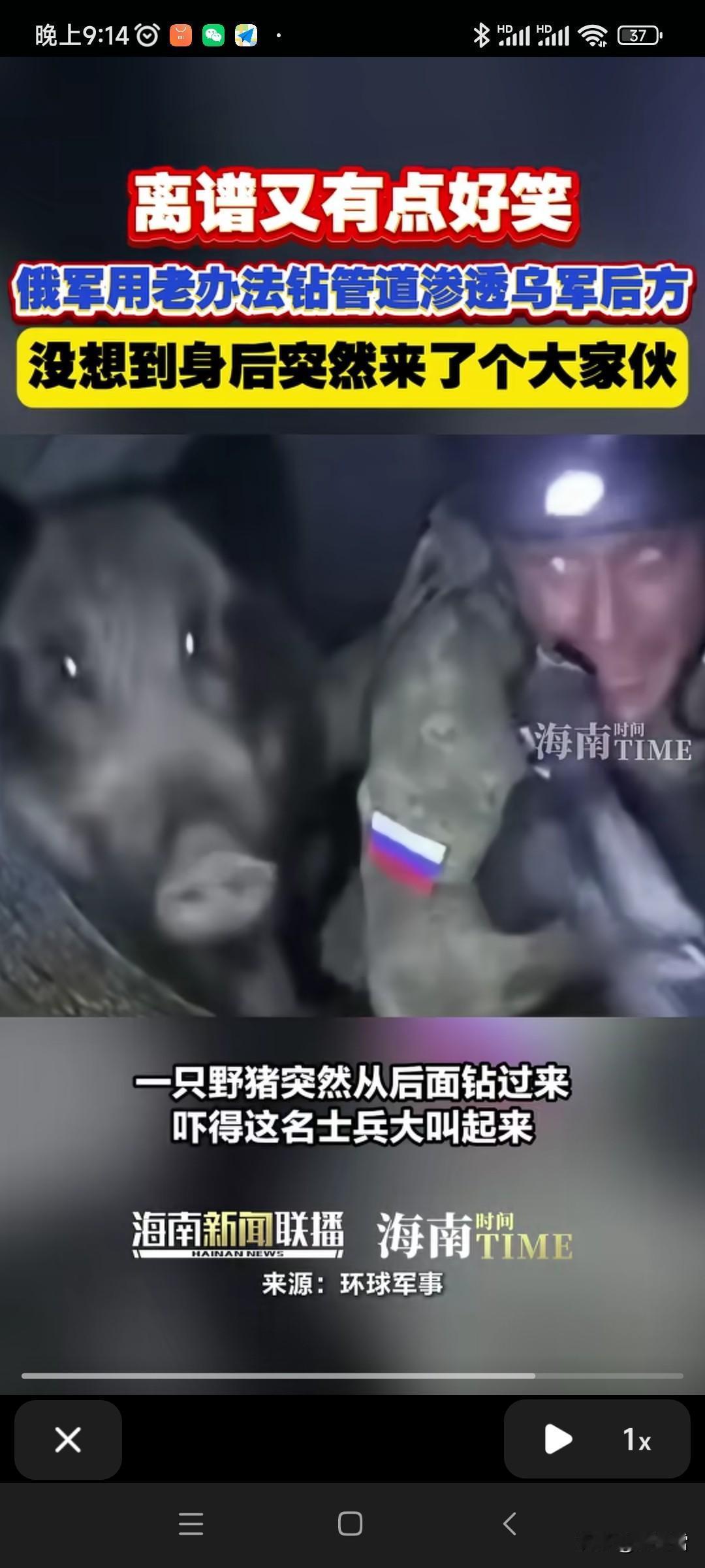 不知道这几名俄罗斯军人还好不？！
爬着爬着，
竟然从背后窜出来一头野猪！
要知道