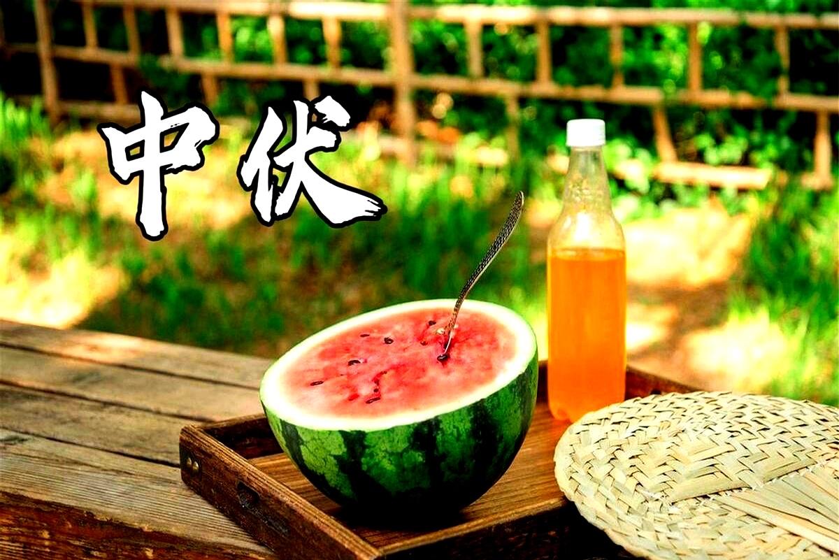 鹧鸪天 · 中伏感怀

热浪骄阳似炬燃，
炎蒸雨煮奈何天。
诸星应序临中伏，
众