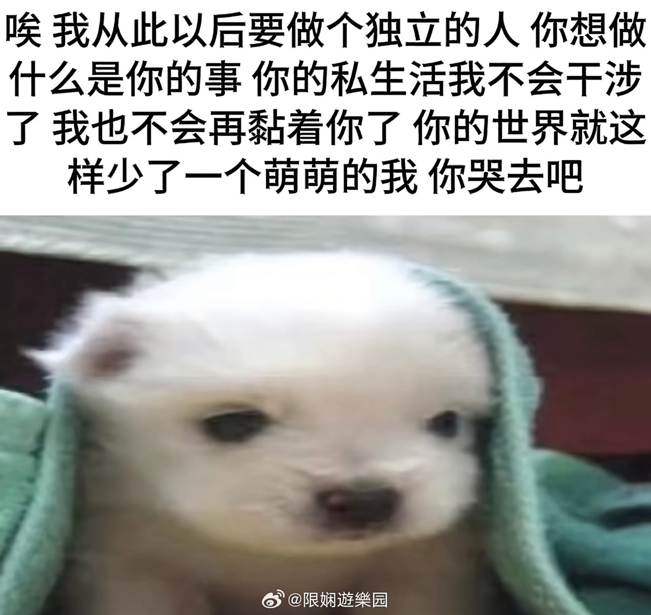 我的发呀 冒个泡 