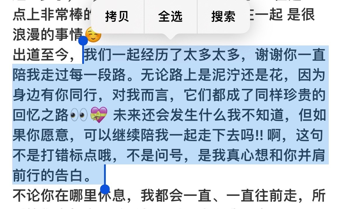 你只会偷我的心 