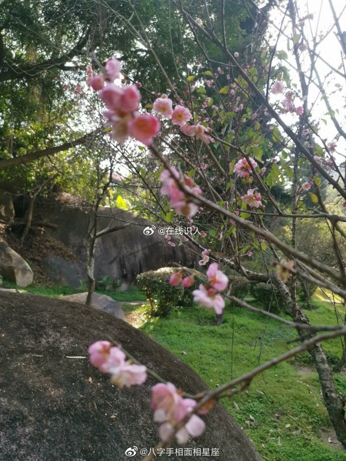 没有什么可以持续不变，也没有什么可以永恒存在，即便是生命，也是开始，就意味着结束