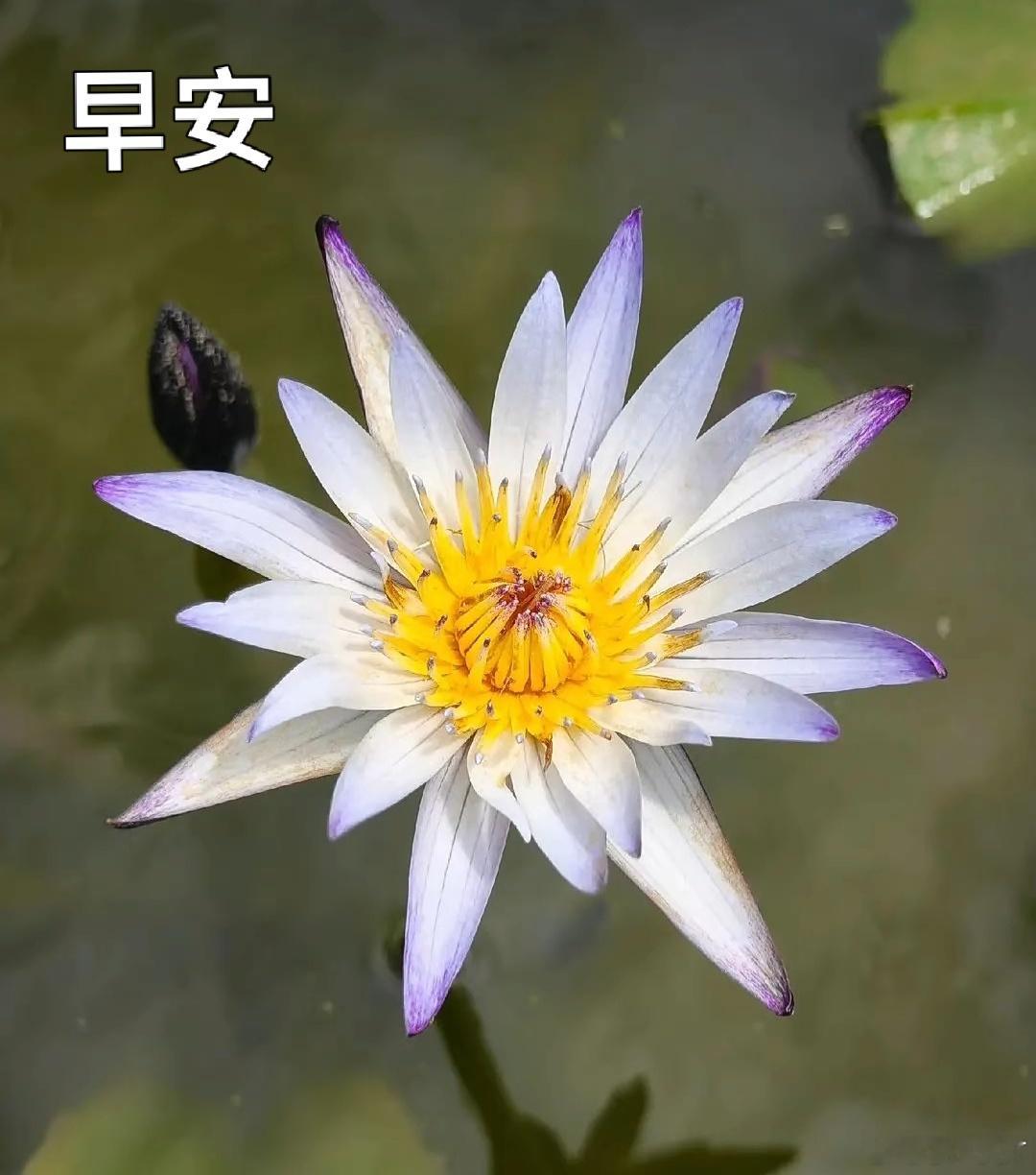 早安[超话] 早安 ​​​