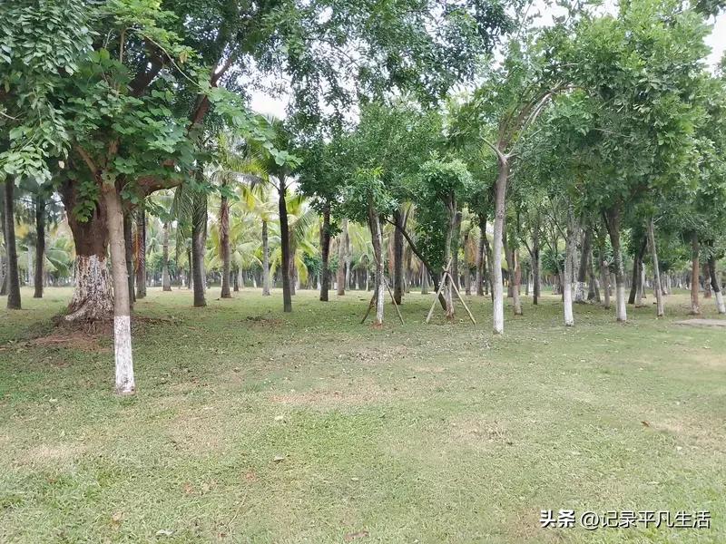 不用追求多快的配速、多大的强度，哪怕只是简单出出汗，拉伸一下紧绷的身体，整个人的