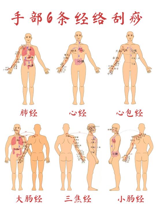 6条手臂经络正确刮痧手法❗