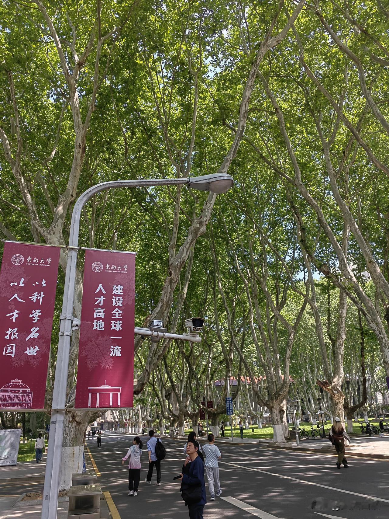 中国的大学，什么时候不需要预约啊？