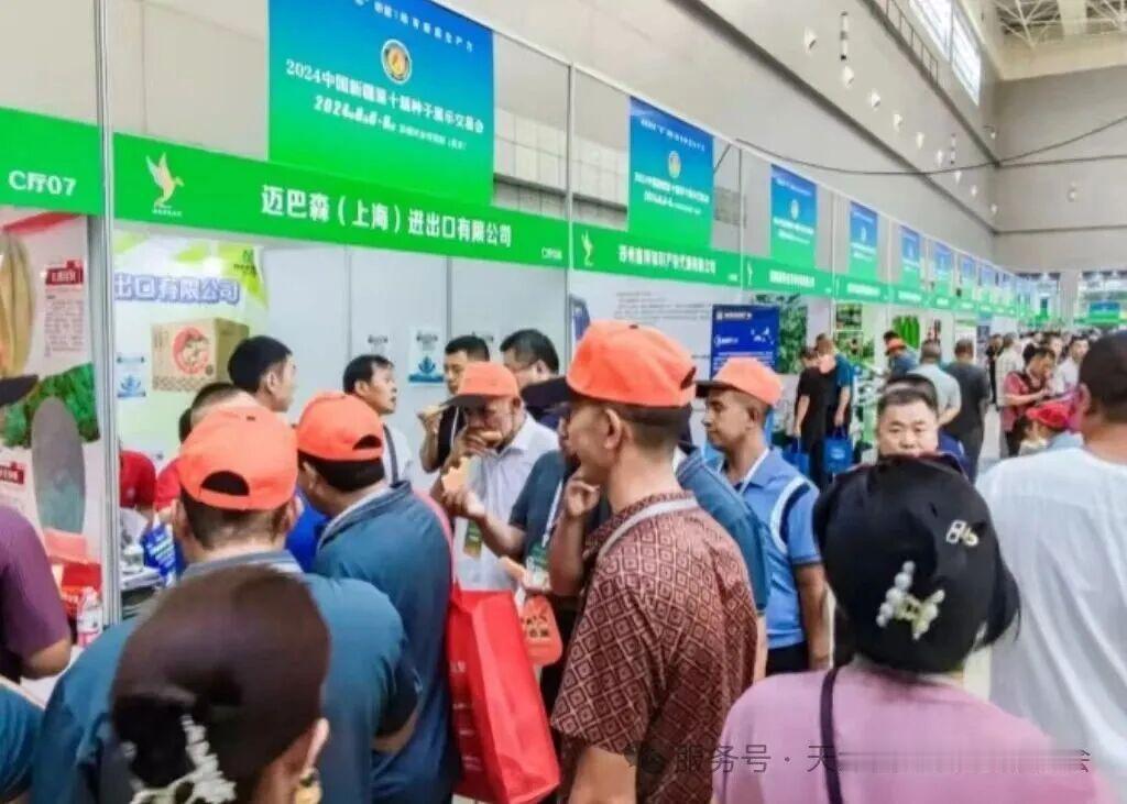 从田间到餐桌，全产业链一站对接！8月6日-8日，2026中国新疆第十一届种子展示
