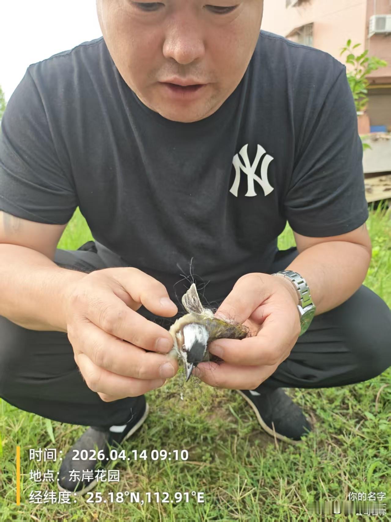 ，为什么鸟网怎么拆都拆不完，这就是原因呀，在案件没有公布的时候谁又知道这里发生的